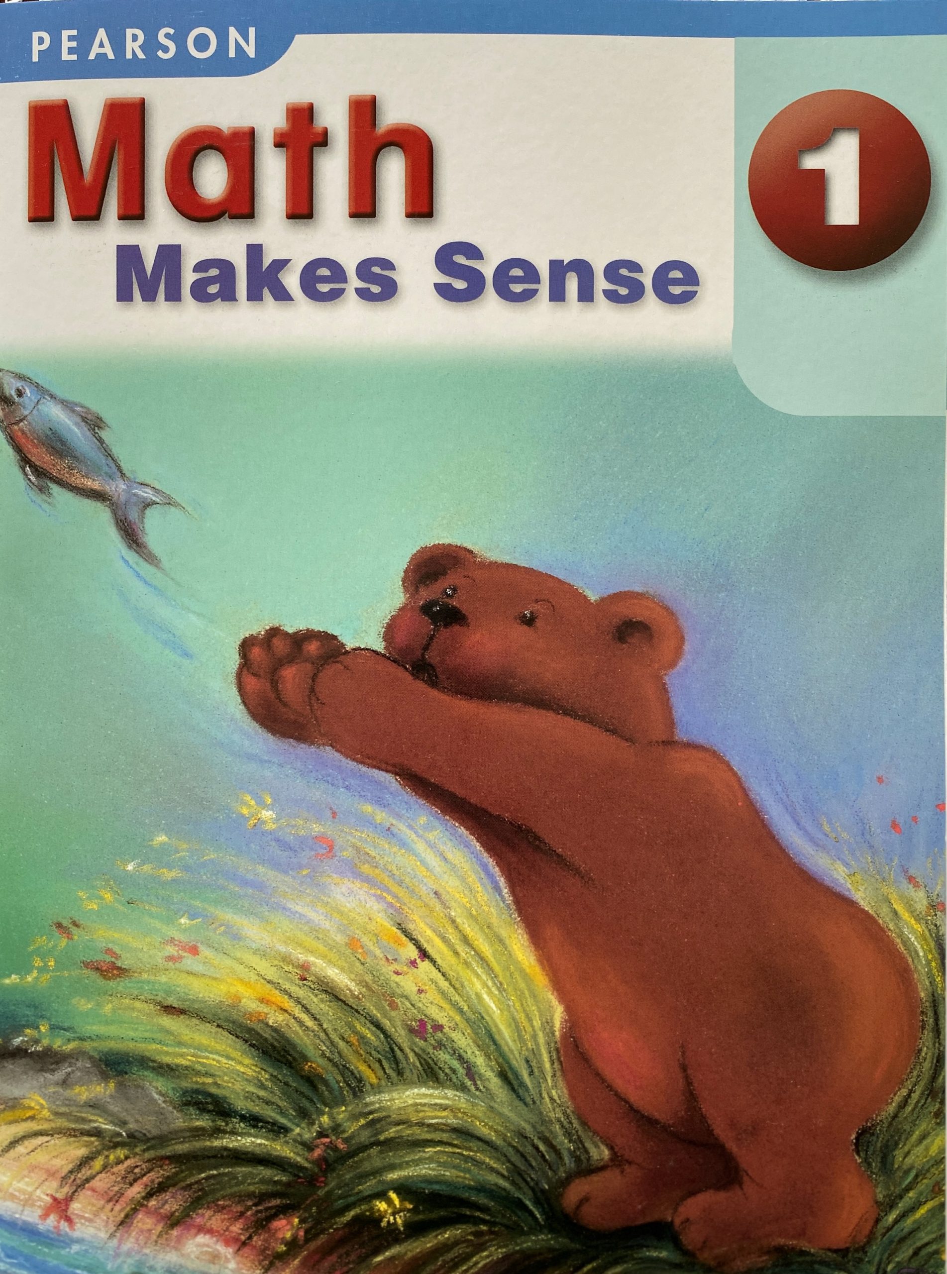 math makes sense 9 homework book pdf